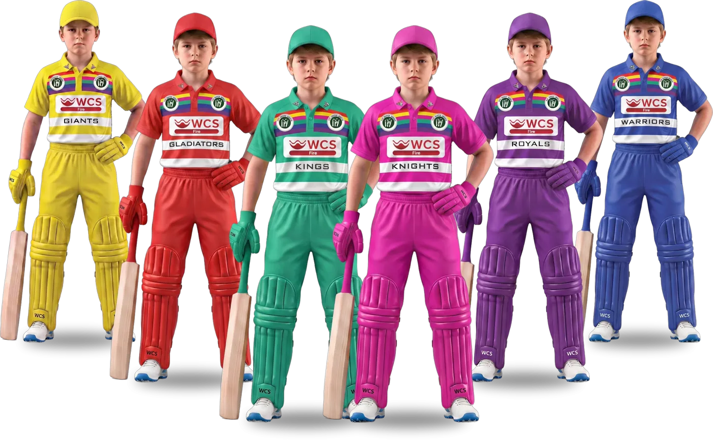 T20 Super Series six franchises